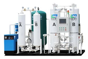Oxygen Generator
